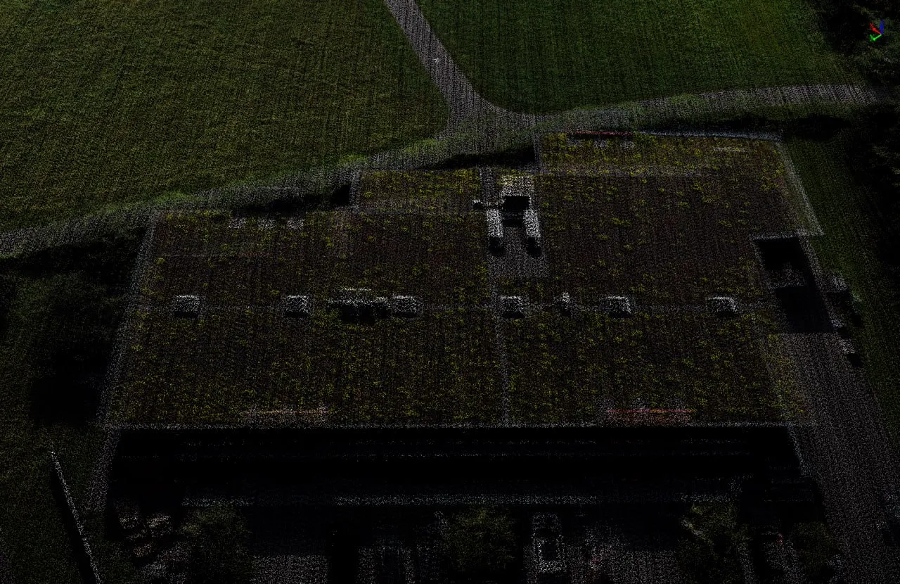 Detailed point-cloud view of roofs, paths and vegetation